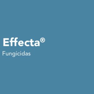 Effecta- acaricida-fungicida-bactericida