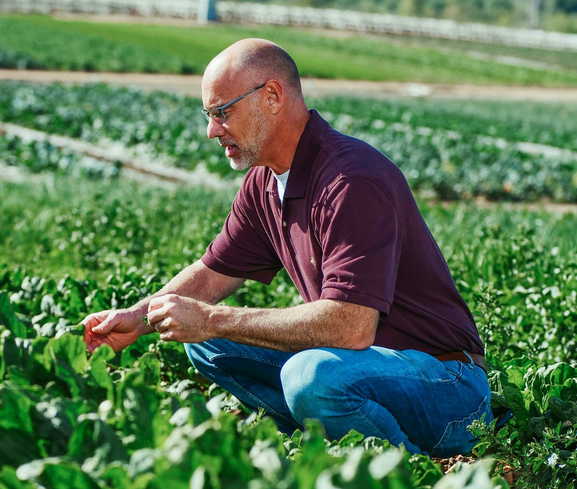 asesoramiento tecnico agrícola